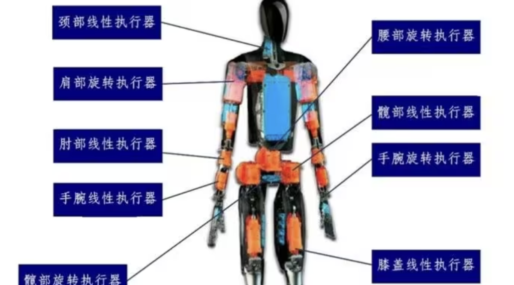 J9九游会人形机器人执行器